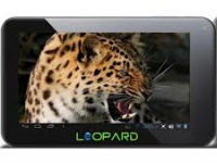 Leopard: 100-   2- 