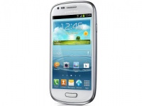   Samsung Galaxy S IV mini     
