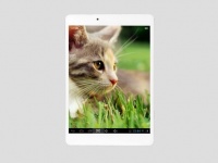 Colorful  7.85-    iPad mini