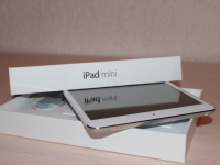  iPad mini    Apple Store    $299