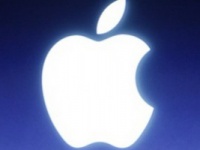 Apple       iPad mini  