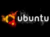 Lenovo, HP  Dell         Linux