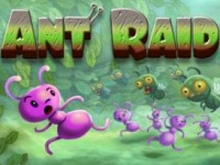 HeroCraft   Ant Raid   BlackBerry PlayBook