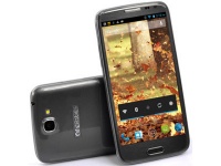 Chinavasion    4-   $250