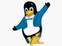 IBM       Linux
