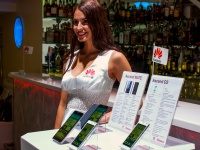    Huawei Ascend D2  Ascend Mate  