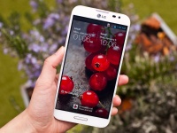 LG Optimus G Pro     40  