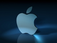Apple   31 .  iPhone  14.6 . iPad