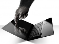 Corning     Gorilla Glass NBT