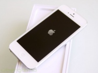 iPhone 5S    iPhone 5C       