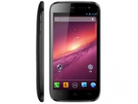 Beidou Spring Onion     4 