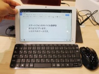 Systena Corporation       Tizen 2.1