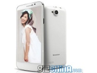 Newman K2S   8-   Newman K2