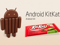   Google  Android 4.4 KitKat  1,1%