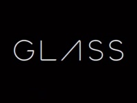 Google Glass       $1500