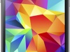 Samsung Galaxy S5 mini   -  1