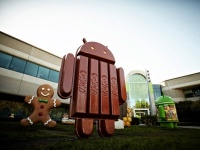  Android 4.4 KitKat  20,9% 
