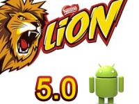   Nexus  high-end-   Android Lion