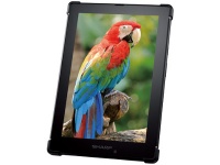 Sharp       MEMS-IGZO