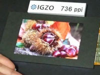 Sharp  IGZO LCD     