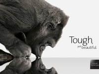  Corning Gorilla Glass 4     