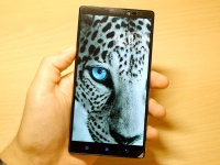 Lenovo    6- Vibe Max  