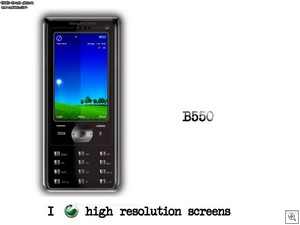 Sony Ericsson B550
