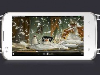 Intex Cloud Pace    2    5    $110