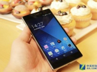 Shallots Note  8-      $205