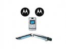  Motorola  