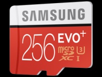 Samsung Electronics  EVO Plus 256 