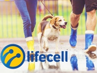 lifecell     3G+  