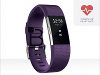 Fitbit    - Flex 2  Charge 2