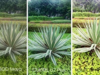 OUKITEL    Bluboo maya, Homtom HT17 pro   U7 Plus