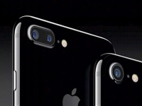 Apple  iPhone 7  iPhone 7 Plus