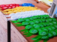         Intel ISEF, Intel-  2016-2017