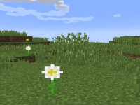   Smartphone.ua:     1.9.2