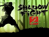   Android:           Shadow fight 2