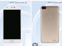   Small Pepper     TENAA