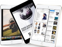 Apple     iPad mini