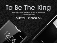 OUKITEL K10000 Pro    10000     2,5 