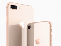  Apple   iPhone 8  iPhone 8 Plus       