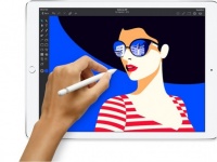 iPhone    Apple Pencil  2019 