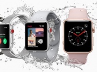    Apple Watch  LTE