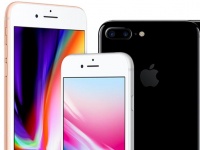  Apple iPhone 8/ 8 Plus    ,   X