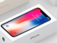 8       iPhone X