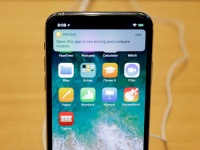 LG Display ,        OLED   Apple iPhone X