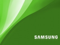 Samsung Electronics        2017 