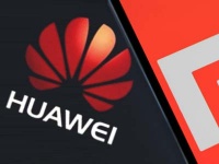 Xiaomi, Huawei        MiniLED,      OLED