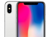  2019     iPhone  